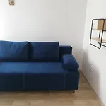 Zlota Rybka Daire
