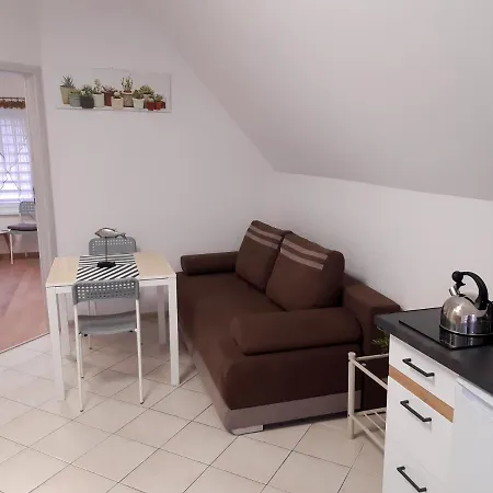 Zlota Rybka Apartment