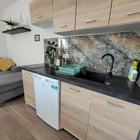 Zlota Rybka Apartment