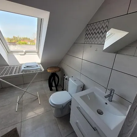 Zlota Rybka 达尔沃沃